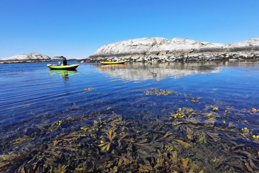 Bilde av Kanoer på vannet